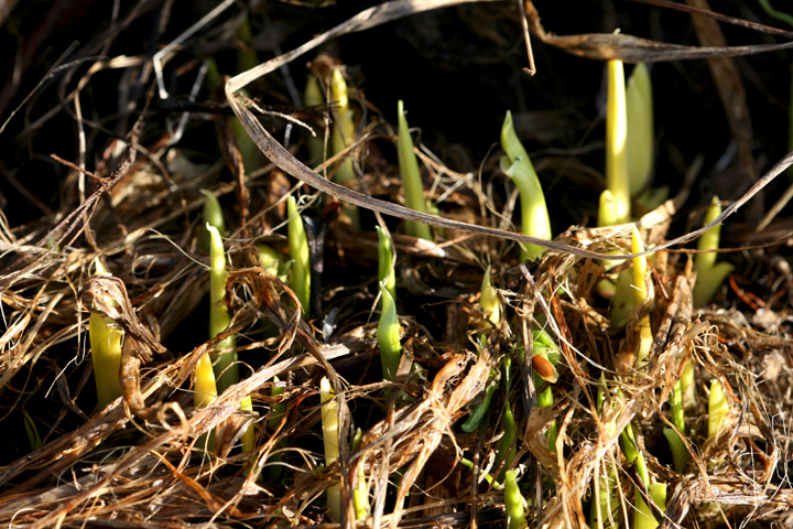 Hiver2013-04179866_zps68f4b6a3.jpg