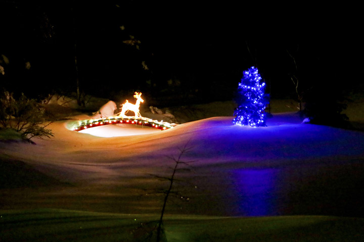 Hiver20142014_01_094580.jpg