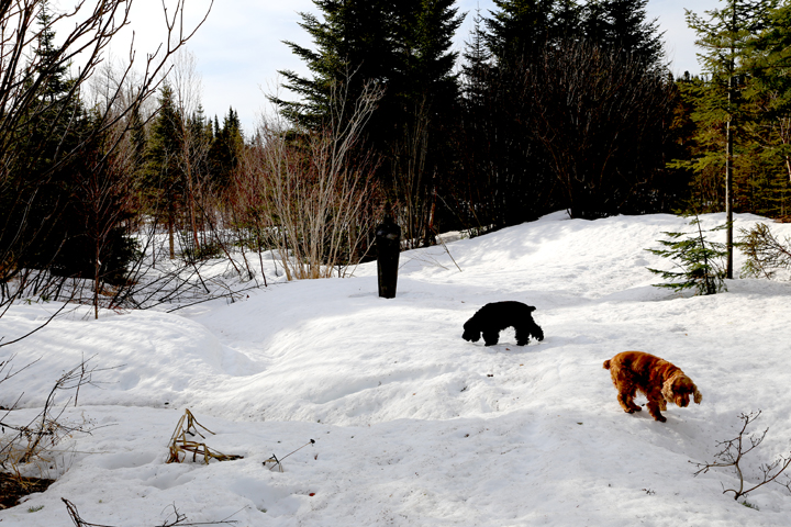 Hiver20142014_04_295566.jpg