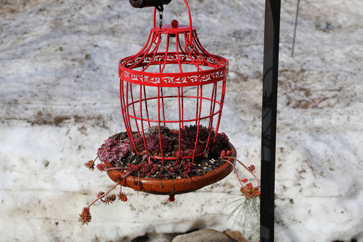 Hiver20142014_04_295572.jpg