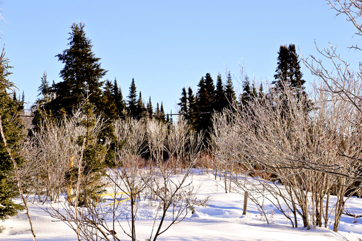 hiver2014_1_10.jpg
