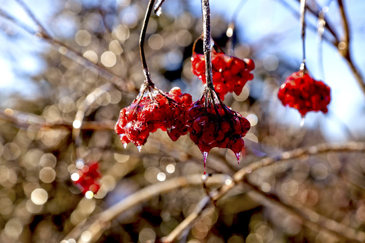 hiver2014_1_13.jpg