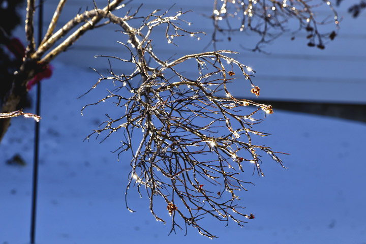 hiver2014_1_15.jpg