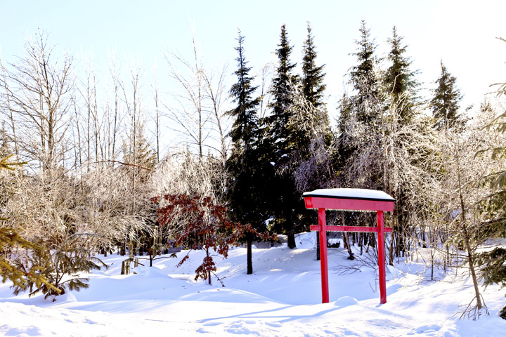 hiver2014_1_16.jpg