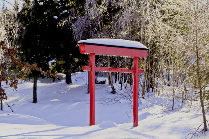 hiver2014_1_17.jpg