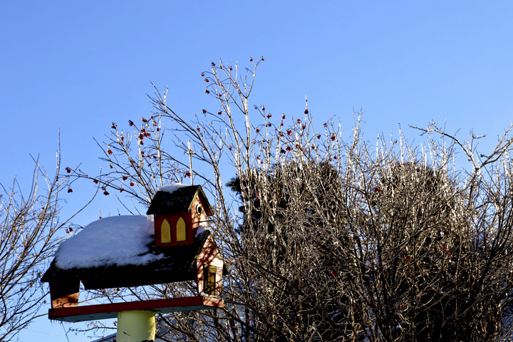 hiver2014_1_4.jpg