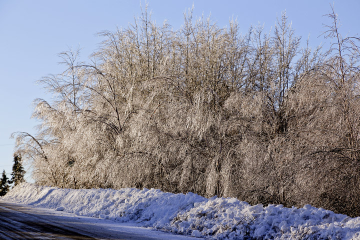 hiver2014_1_7.jpg