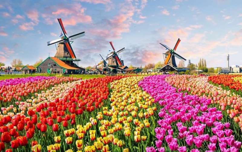 holanda02.jpg