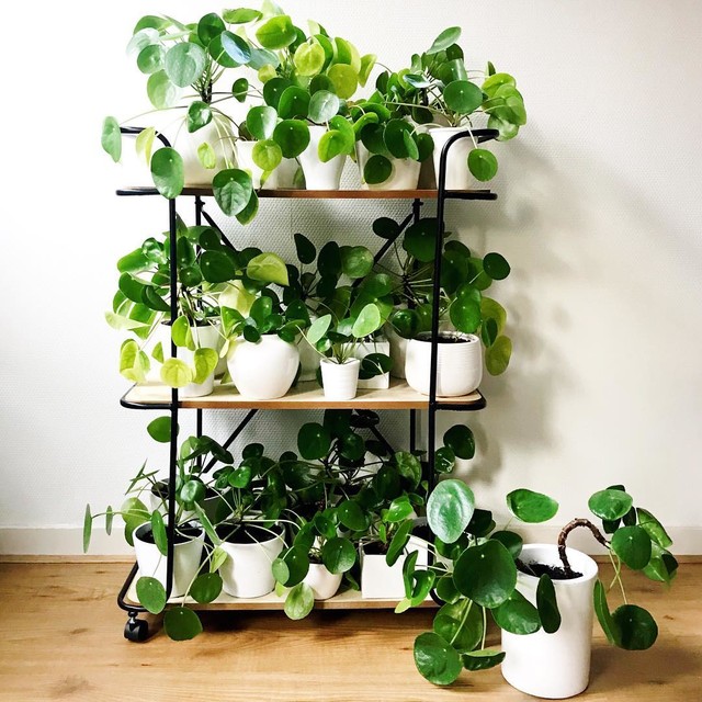 home-design.jpg