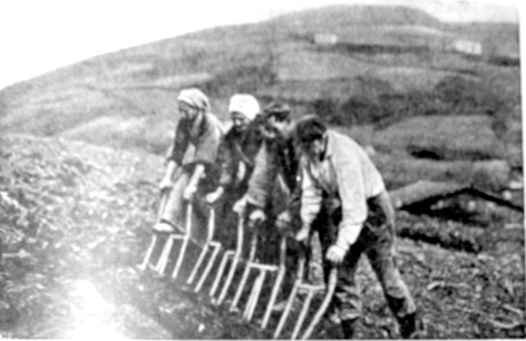 horca-1.jpg