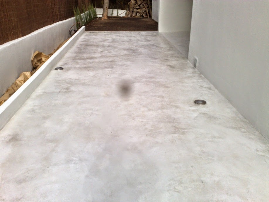 hormig%25C3%25B3n+en+blanco.jpg