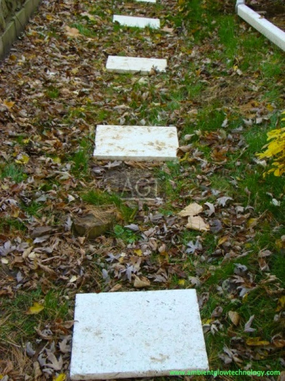 hormig%25C3%25B3n+luminiscente10.jpg