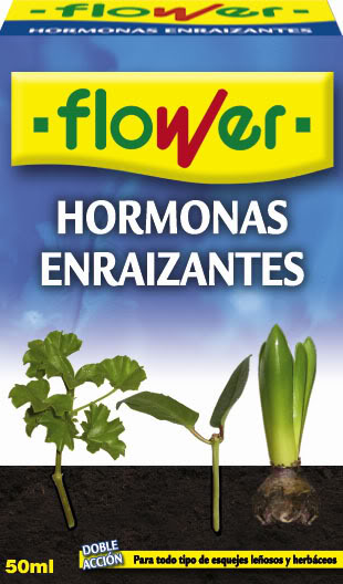 hormonas.jpg