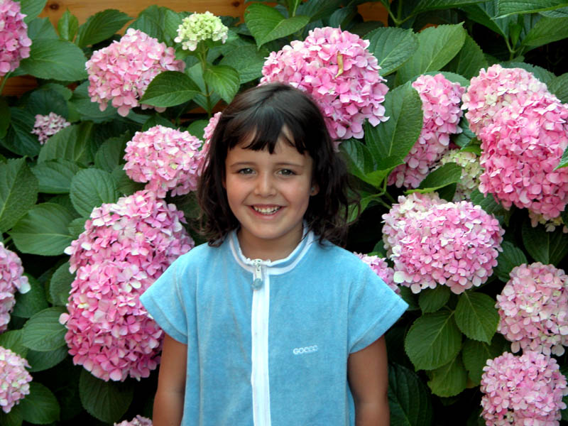 HORTENSIAS2005.jpg