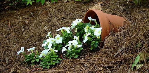 how-to-make-a-spill-pot-1.jpg