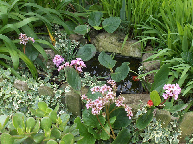 HPIM0033.JPG