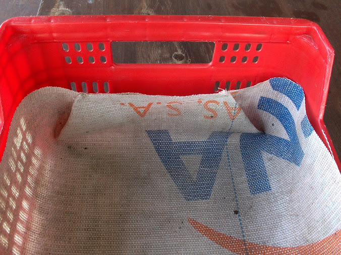 HPIM0084.JPG