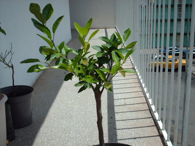 HPIM0101.JPG