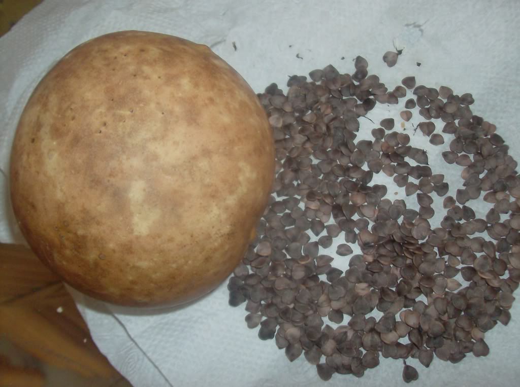 HPIM0257.jpg