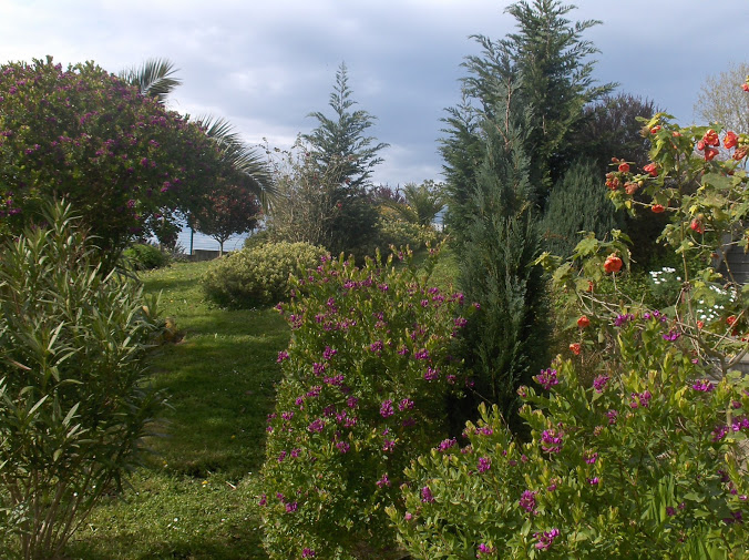 HPIM0279.JPG