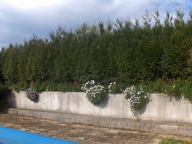 HPIM0281.JPG