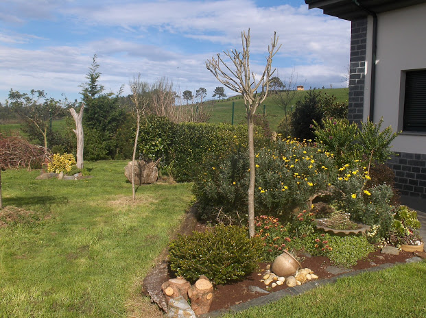 HPIM0290.JPG