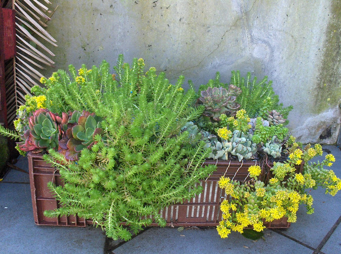 HPIM0327.JPG