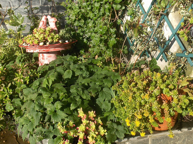 HPIM0328.JPG