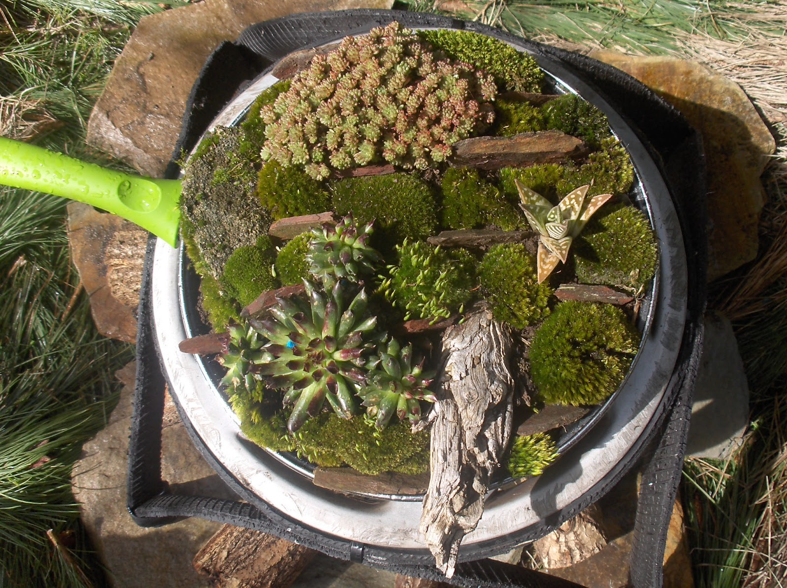 HPIM0339.JPG