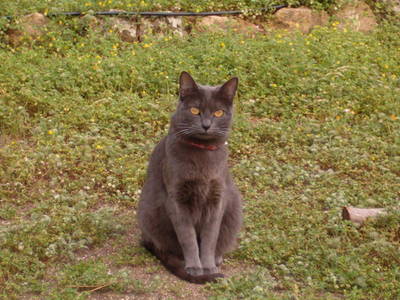 Hpim0341.jpg