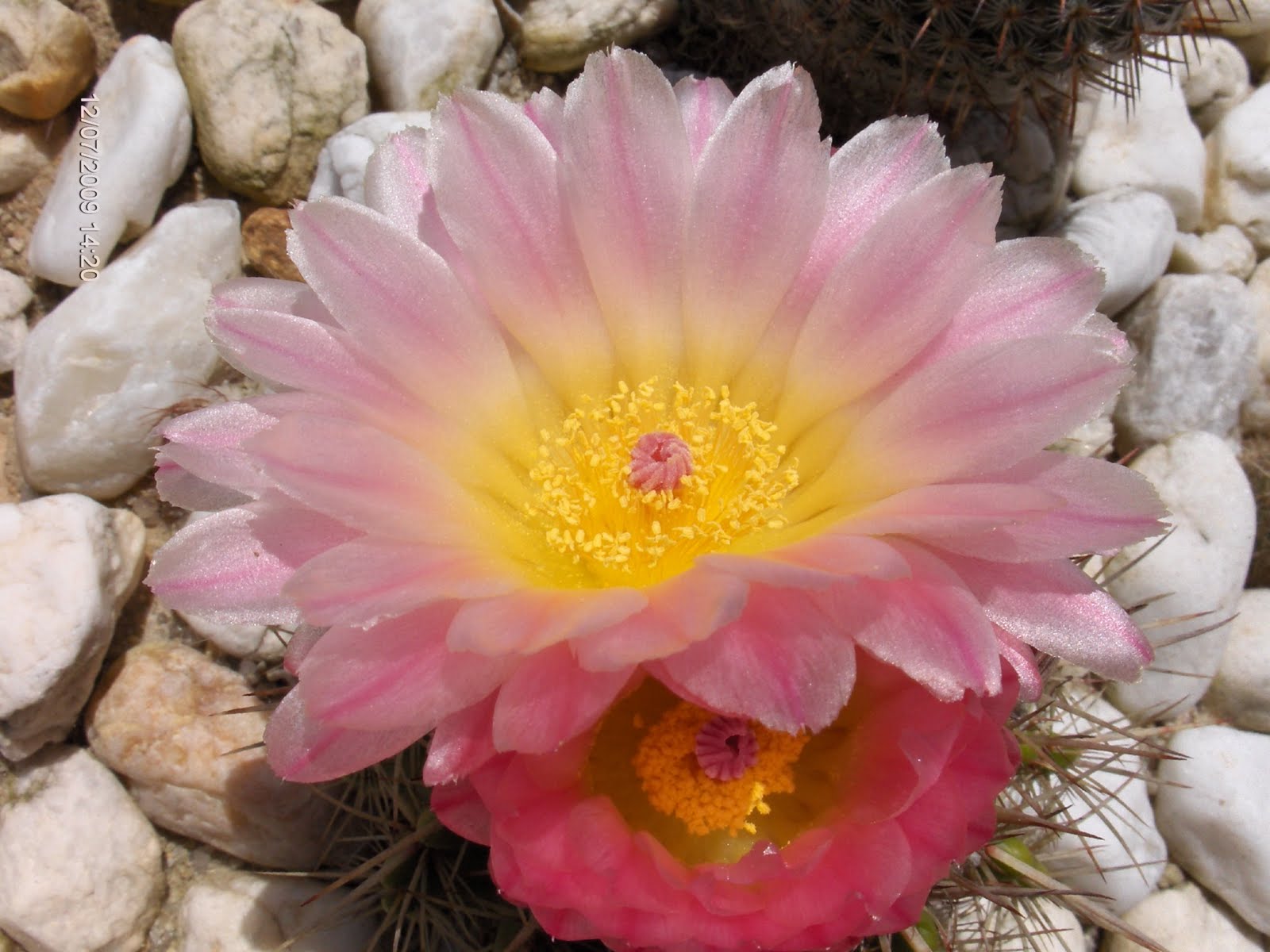 HPIM0342.JPG
