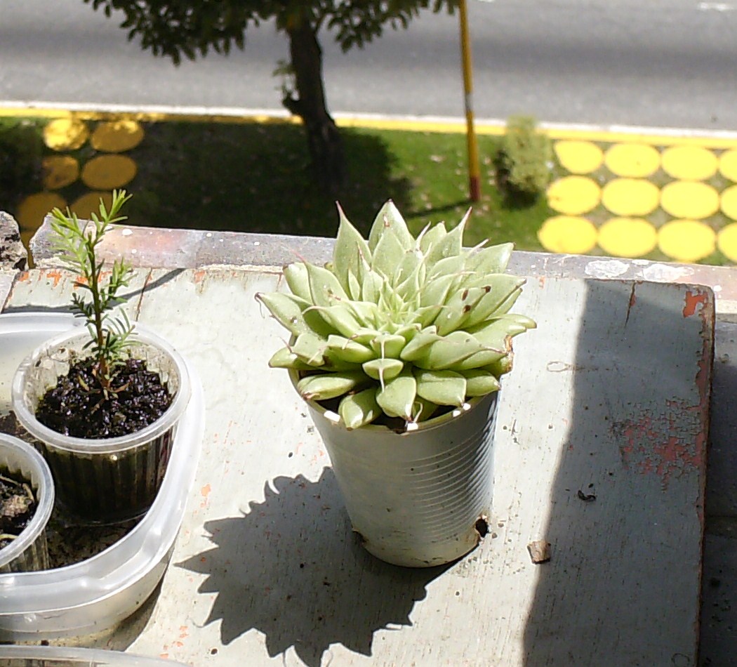 hpim0376.jpg