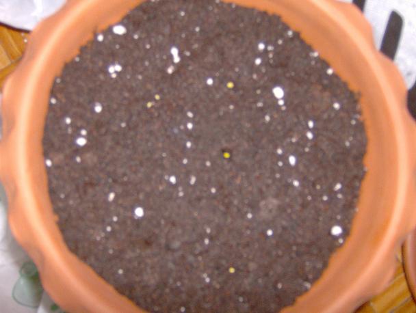HPIM0407.JPG