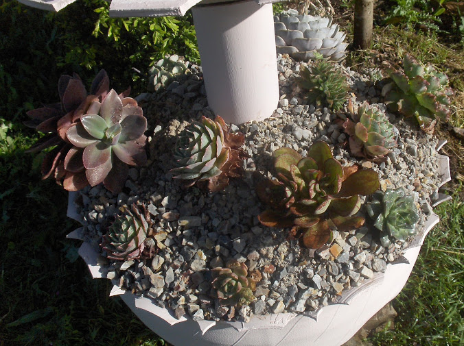 HPIM0418.JPG