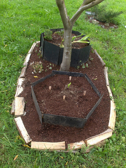 HPIM0464.JPG