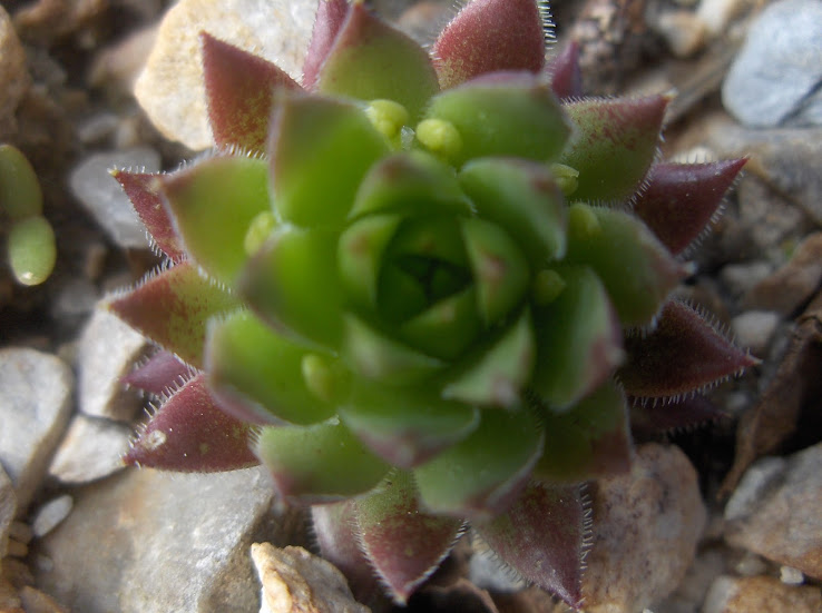 HPIM0481.JPG
