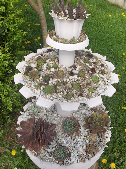 HPIM0484.JPG