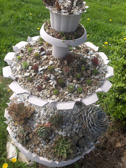 HPIM0485.JPG