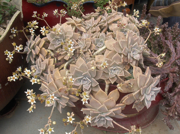 HPIM0489.JPG