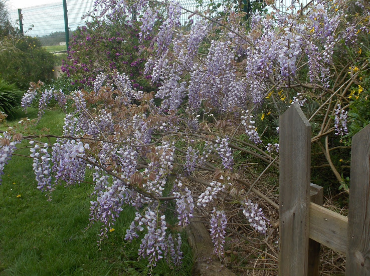 HPIM0491.JPG
