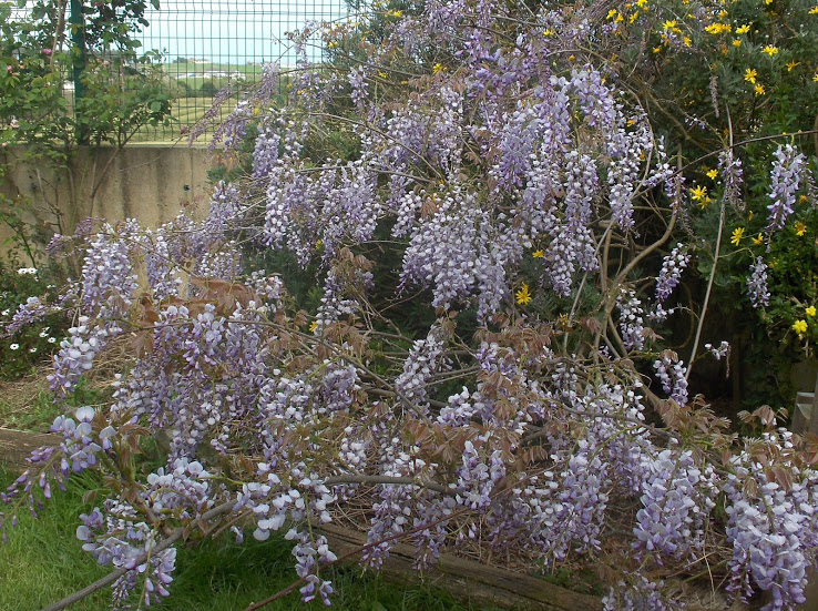 HPIM0492.JPG