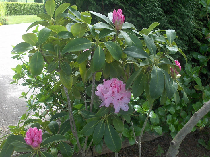 HPIM0494.JPG