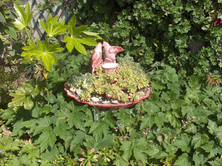 HPIM0525.JPG