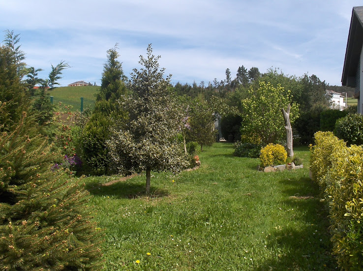 HPIM0534.JPG