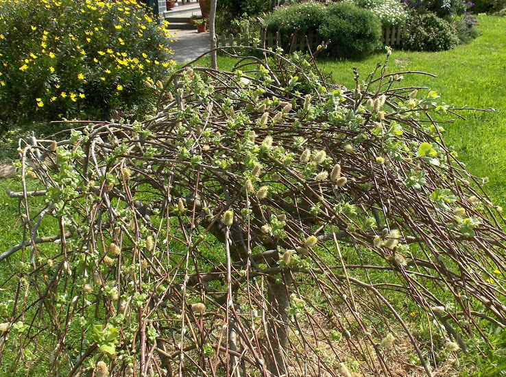 HPIM0535.JPG