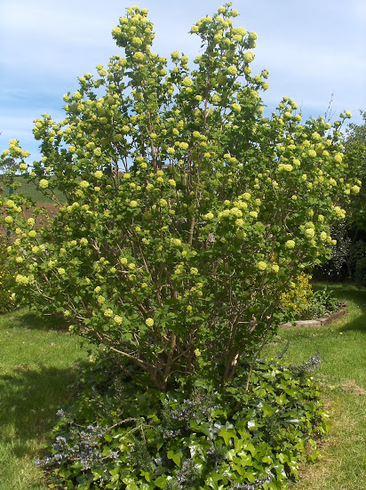 HPIM0537.JPG