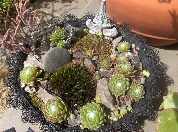 HPIM0539.JPG