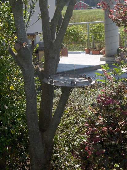 HPIM0543.JPG