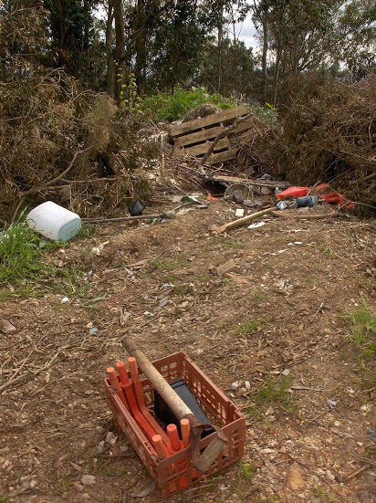 HPIM0548.JPG