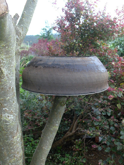 HPIM0553.JPG